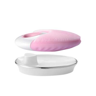 Facial Beauty Instrument Food-grade Silicone Facial Cleansing Brush